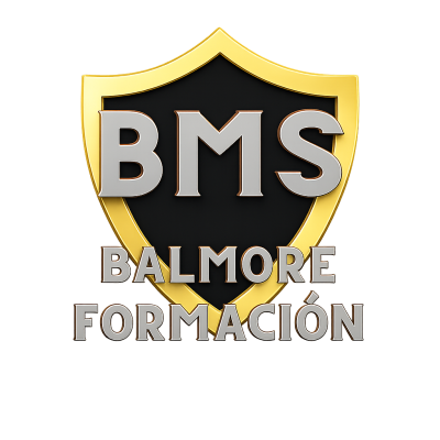 system logo